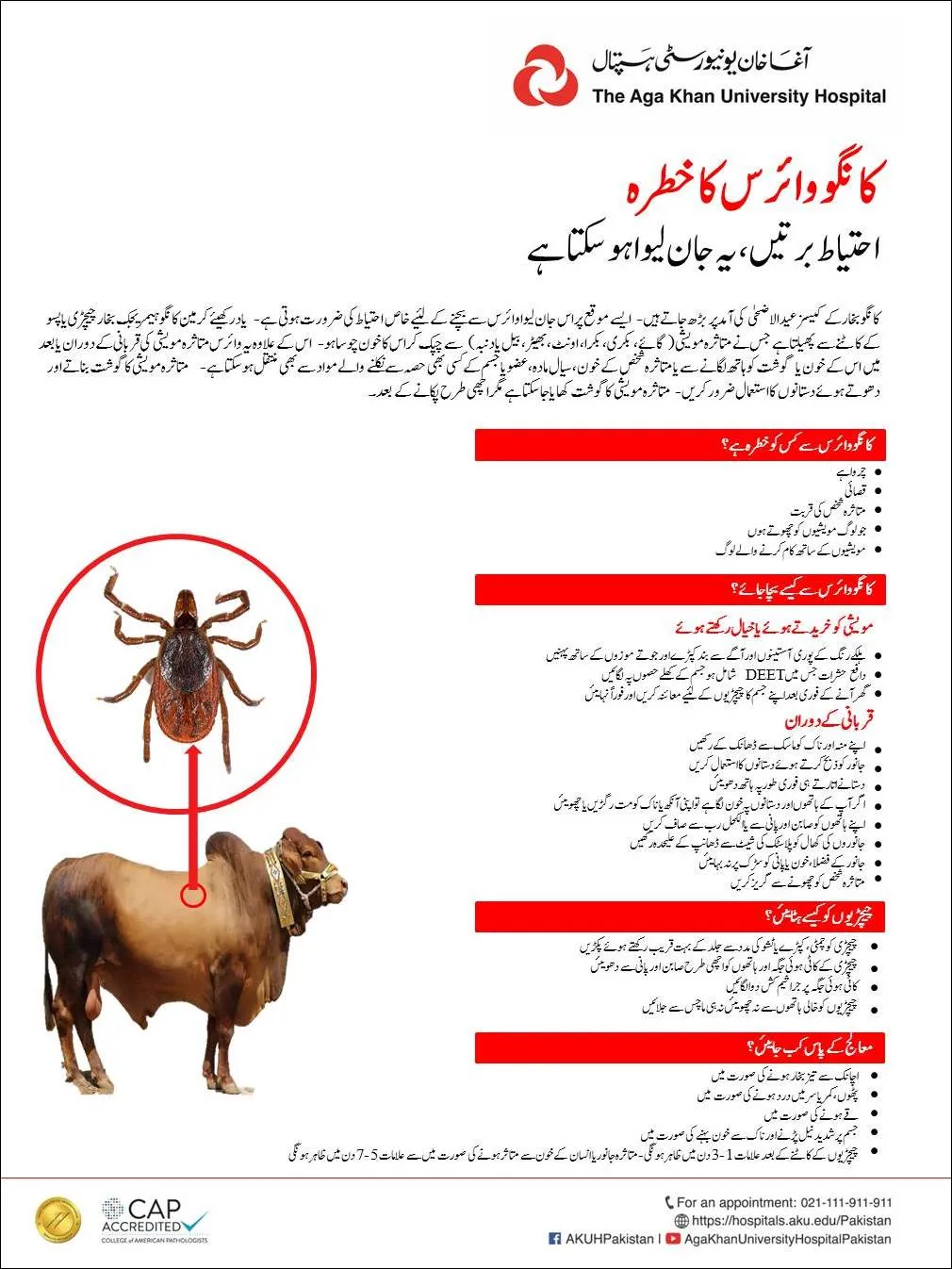Media block image