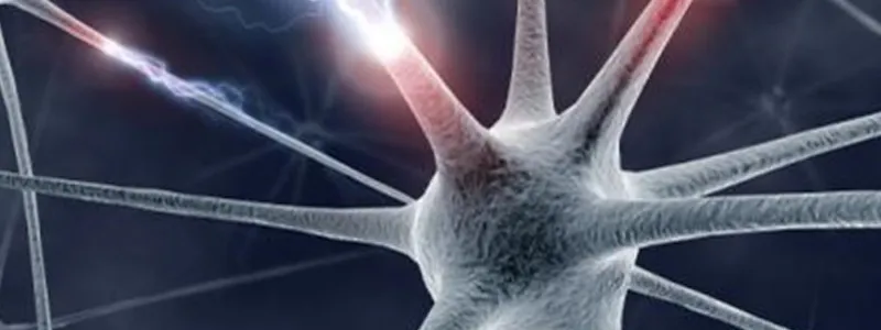 We Can Help You Manage ALS
