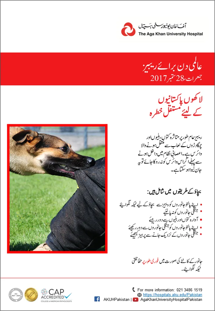 Media block image