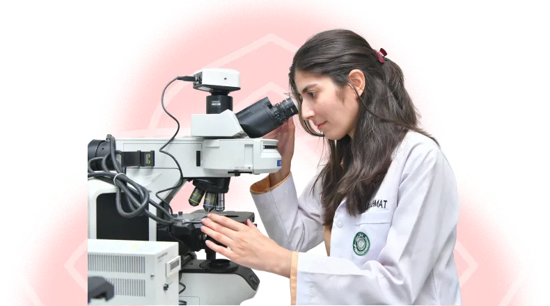 Research First  Organisation