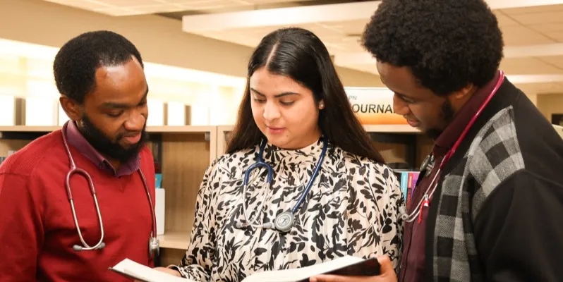 Internship Programmes