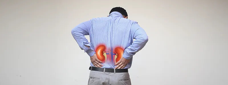 World Kidney Day