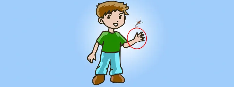 World Malaria Day