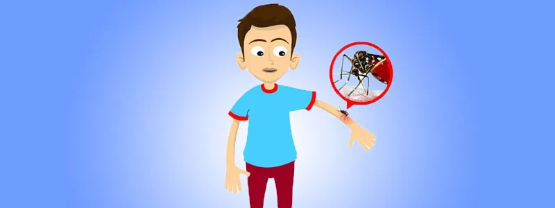 Chikungunya, Dengue and Malaria Screening Package