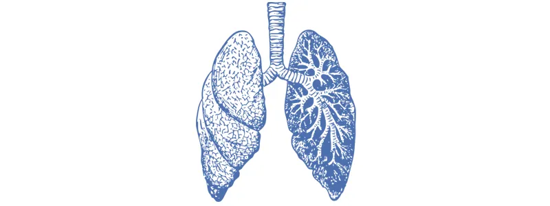 World Pneumonia Day