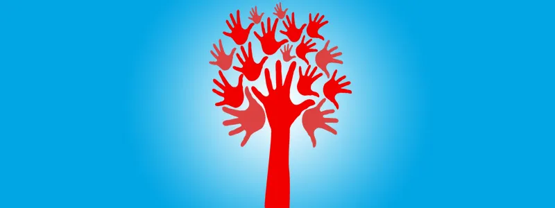 Occupational Therapy Sessions for Psychiatric Rehabilitation