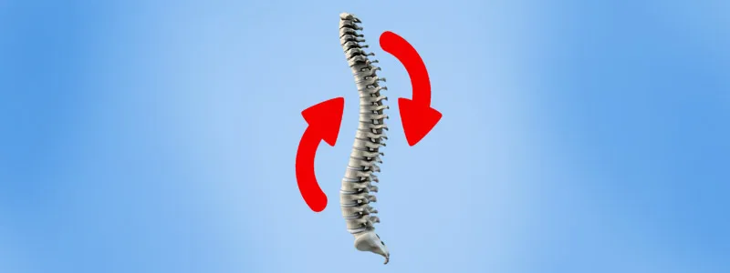 World Spine Day
