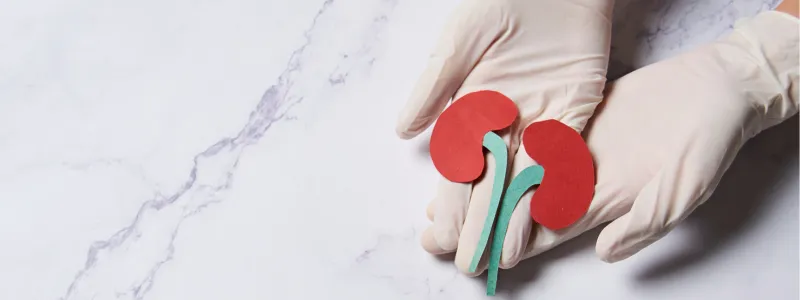 Kidney Transplant: A Second Chance at Life