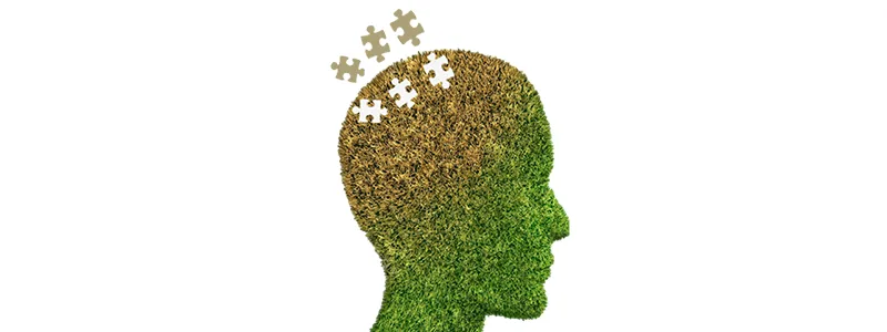 Living with Alzheimer’s: Strategies and Support