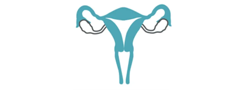 Understanding Cervical Cancer: Risk Factors and Prevention