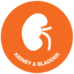 Kidney and Bladder SL symbols 2020.png
